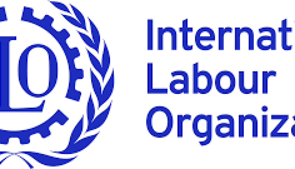 National Programme Coordinator Vacancy-Job Ref: ACSAILO/2907/202631